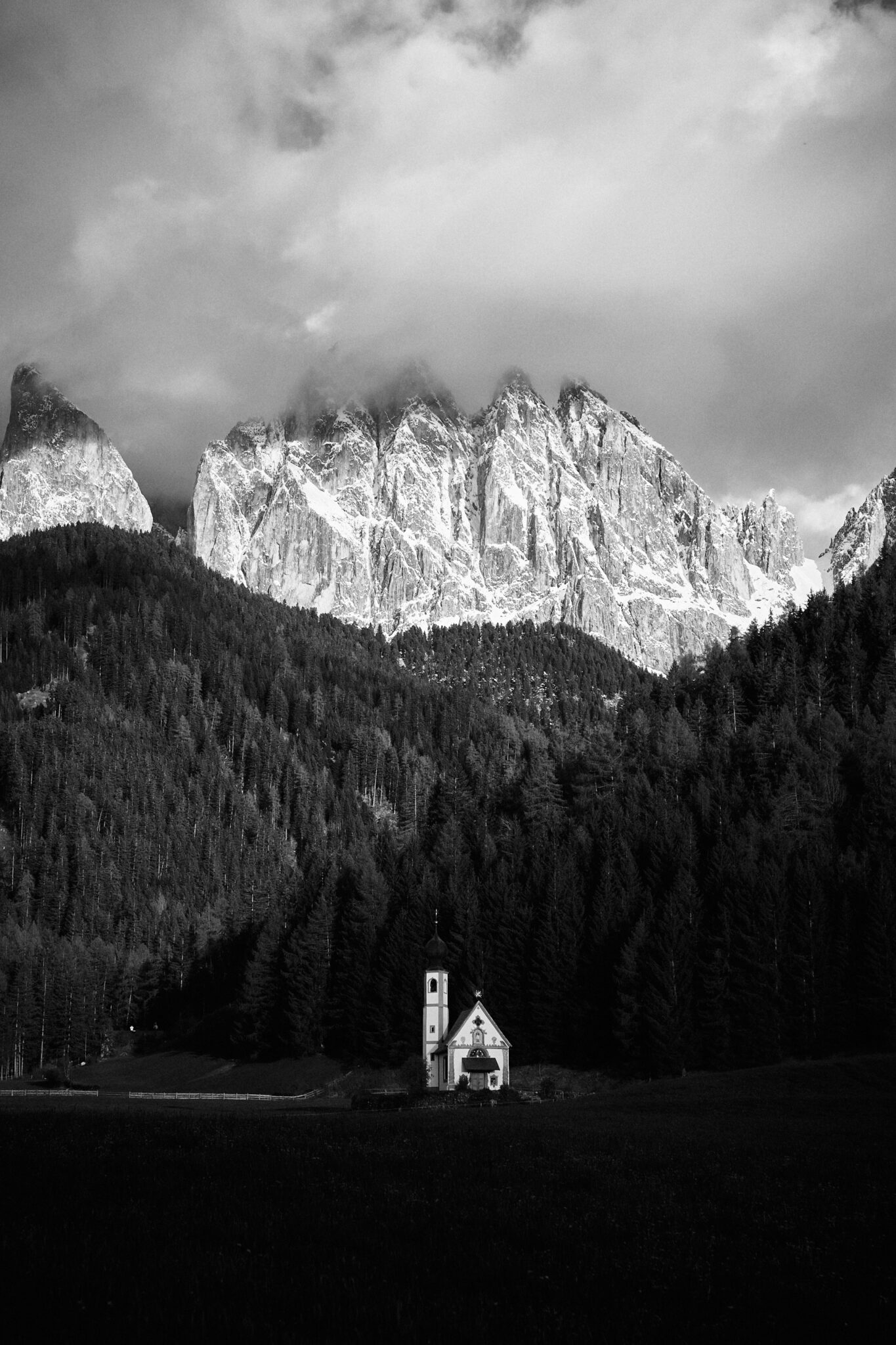 roadsurfer x gus 012