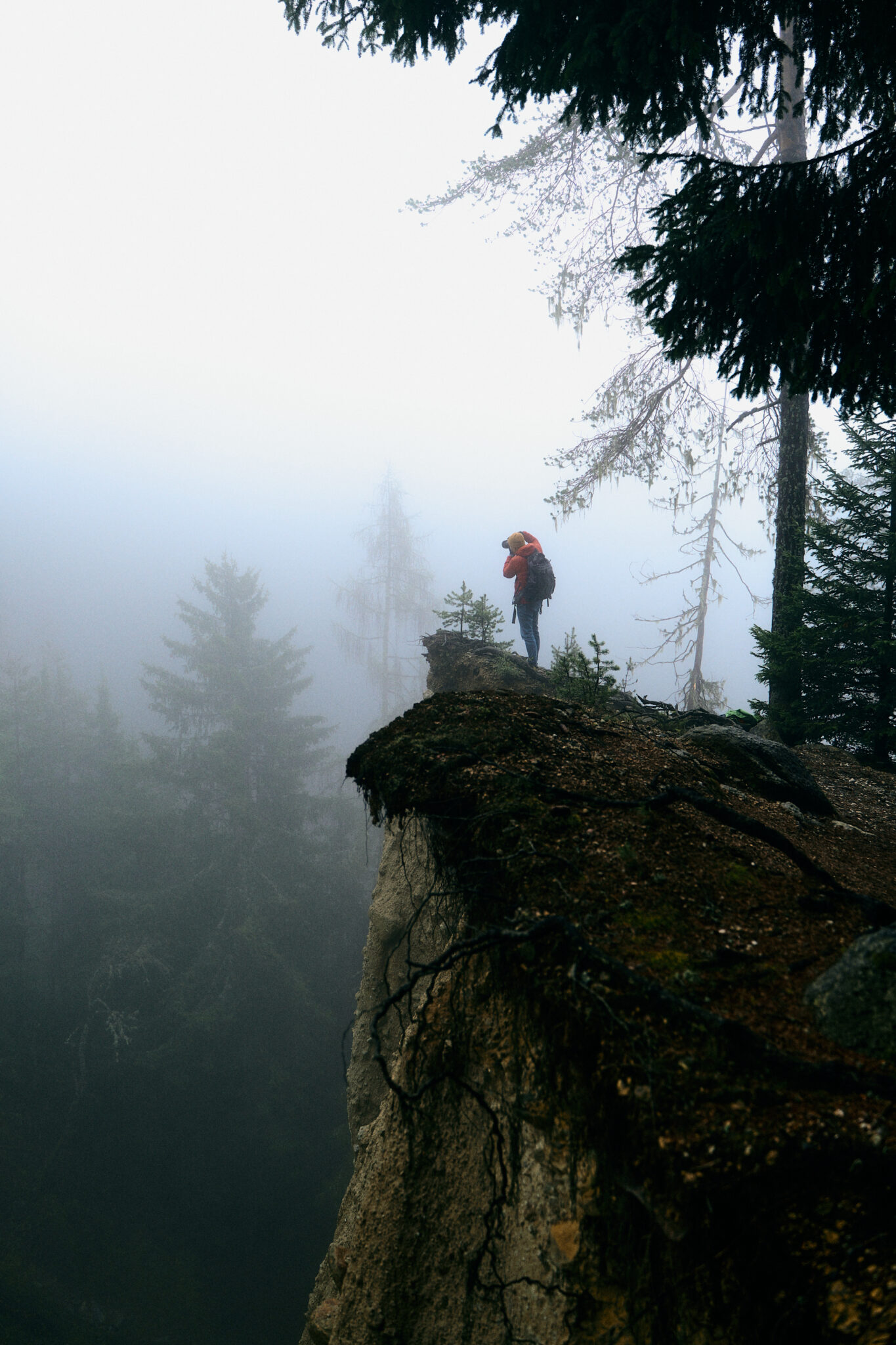 roadsurfer x gus 014