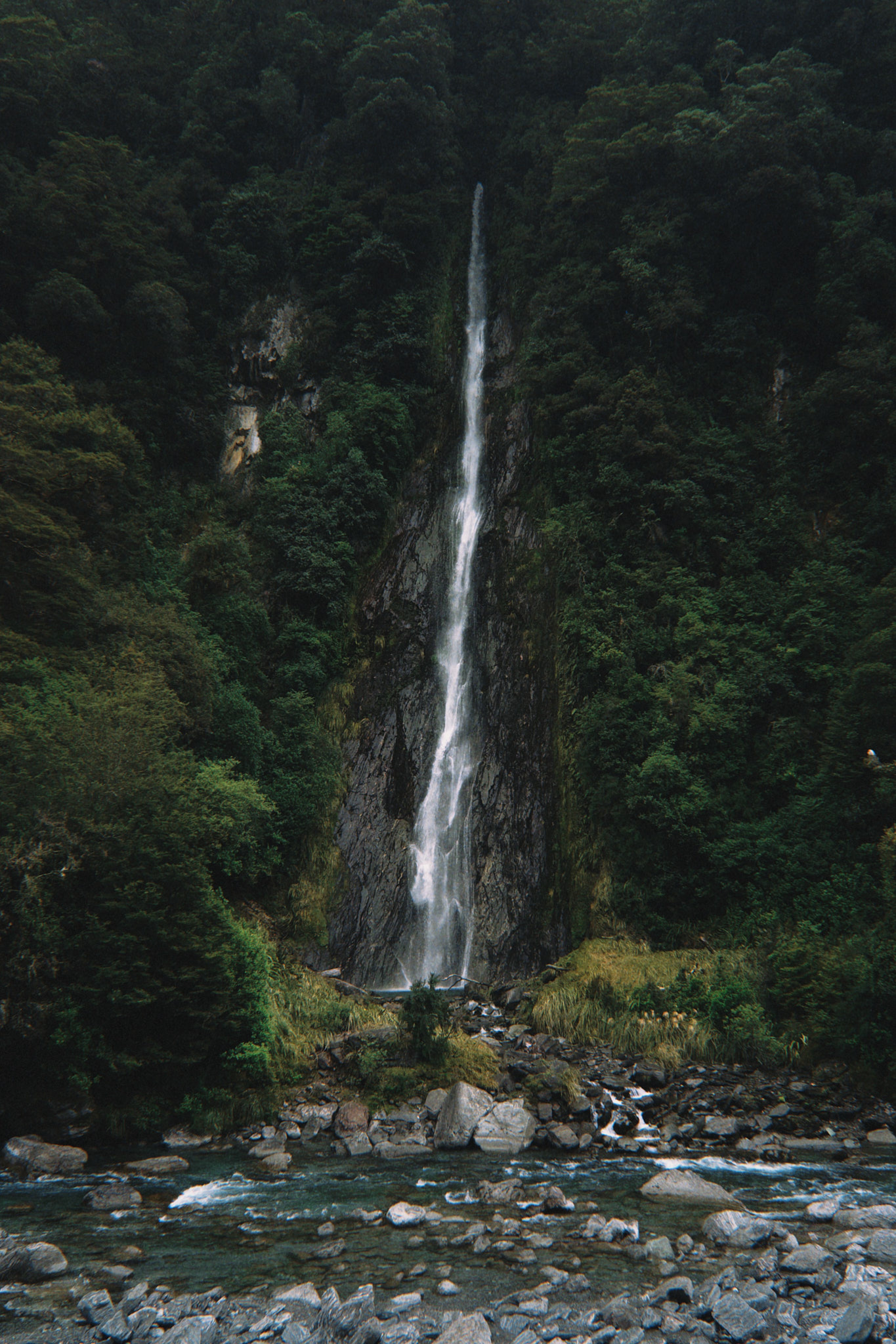 taylor foto film21 (fqs 2025 02 08 102136.685)