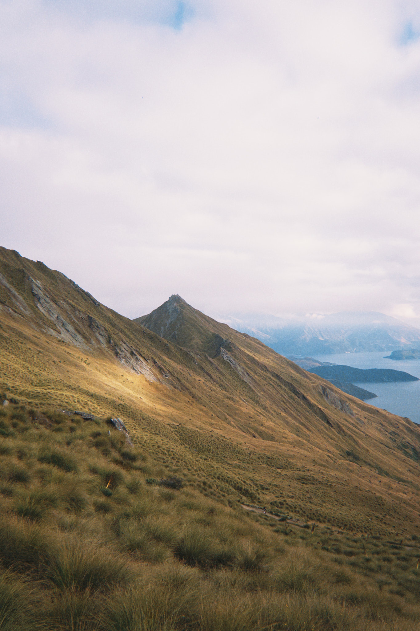 taylor foto film23 (fqs 2025 02 11 084406.459)