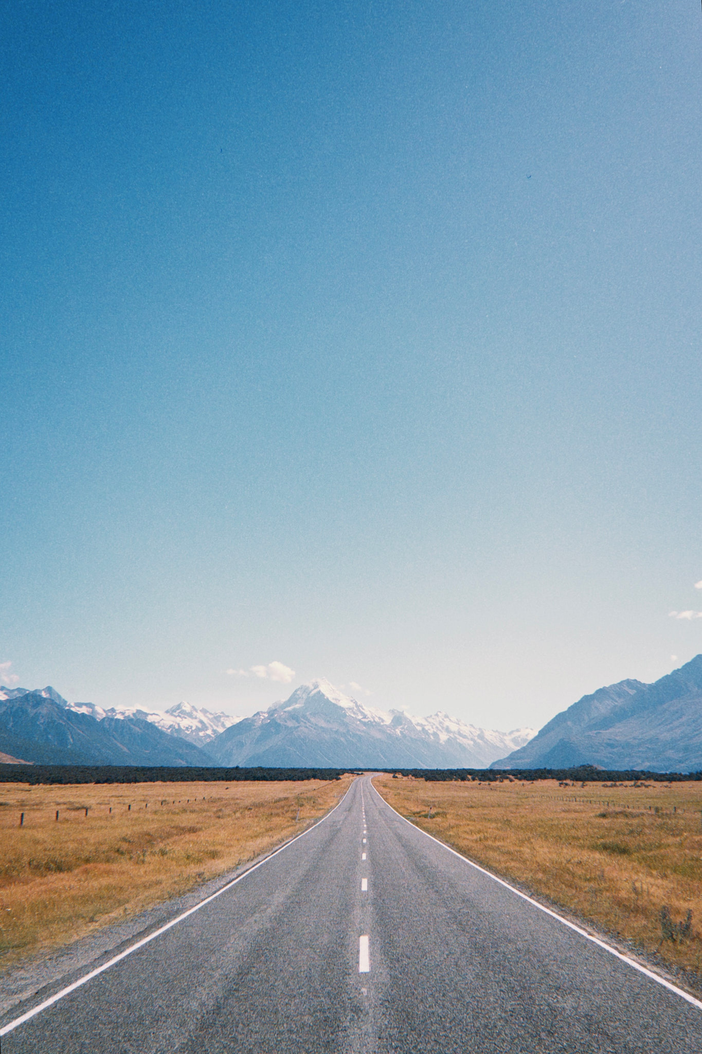 taylor foto film25 (fqs 2025 02 12 112559.102)