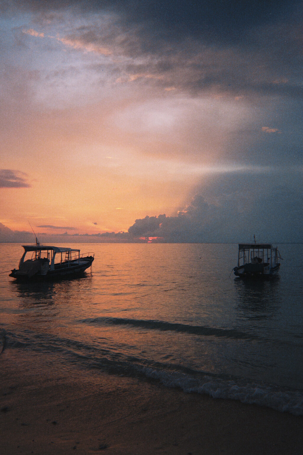 taylor foto film27 (fqs 2025 02 24 183815.396)