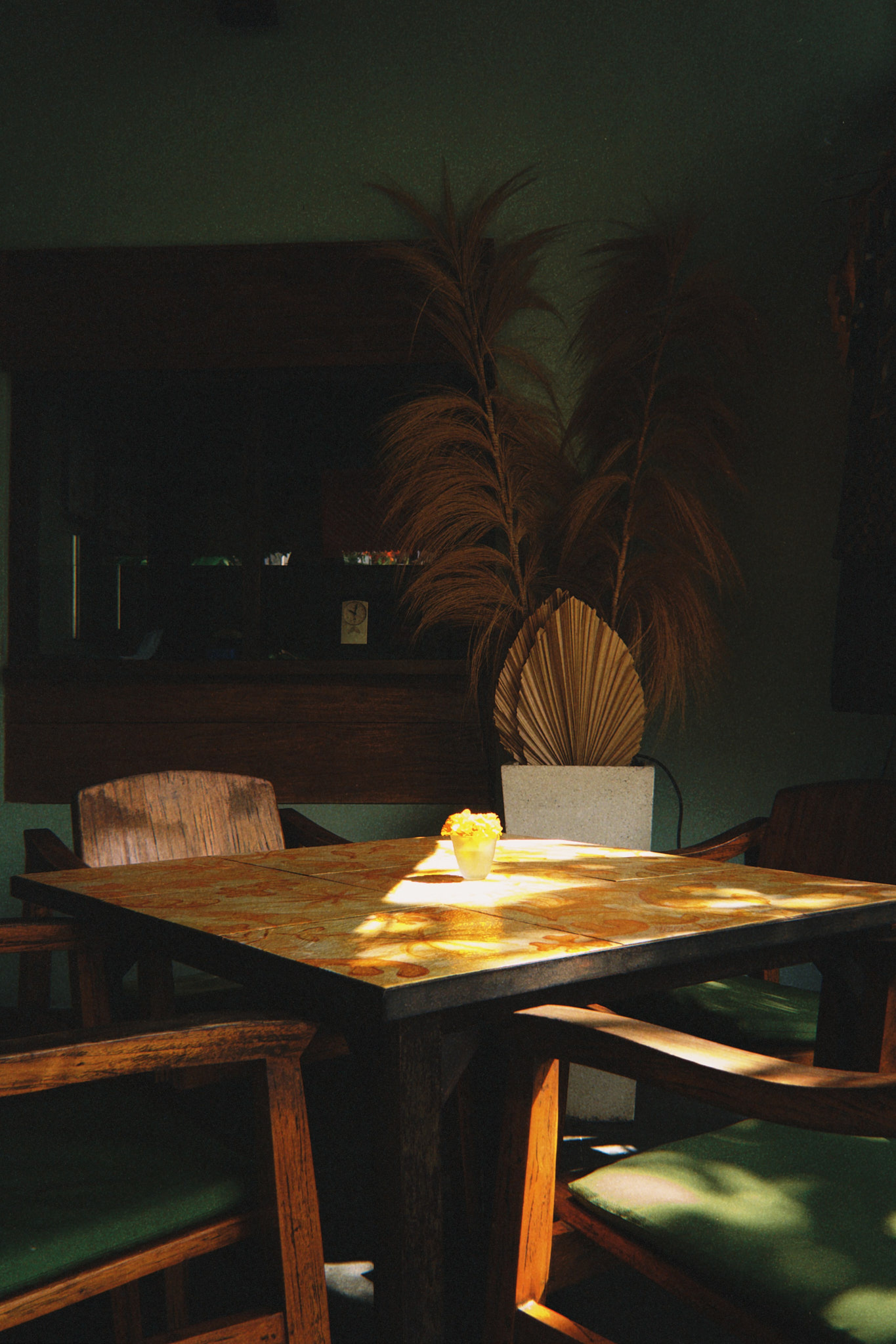 taylor foto film28 (fqs 2025 02 25 100120.633)