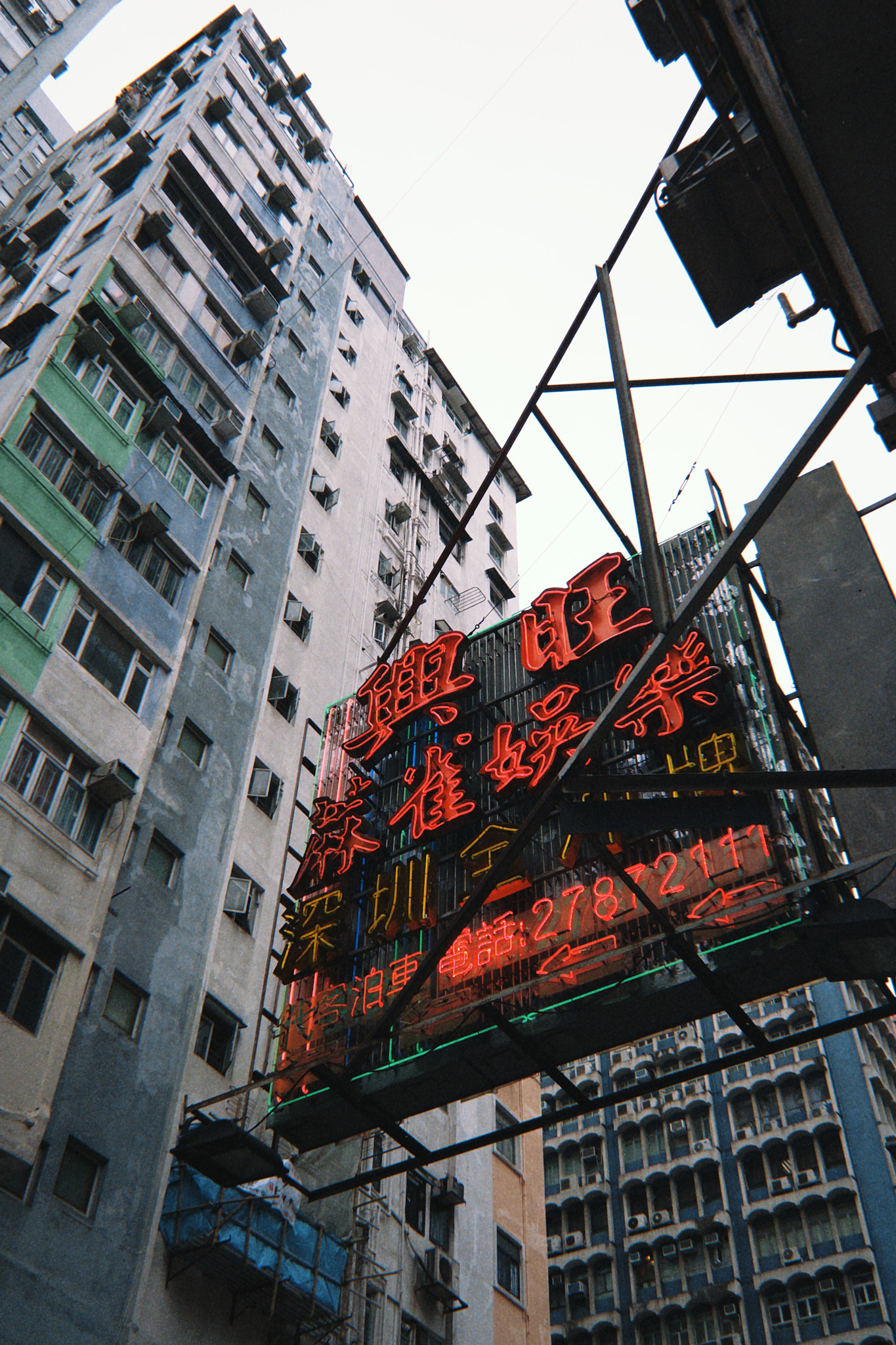 taylor foto film31 (fqs 2025 03 04 151125.193)