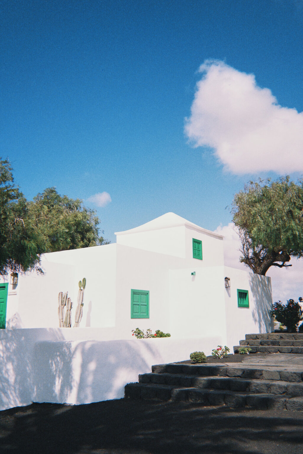 taylor foto film32 (fqs 2025 03 24 152004.145)