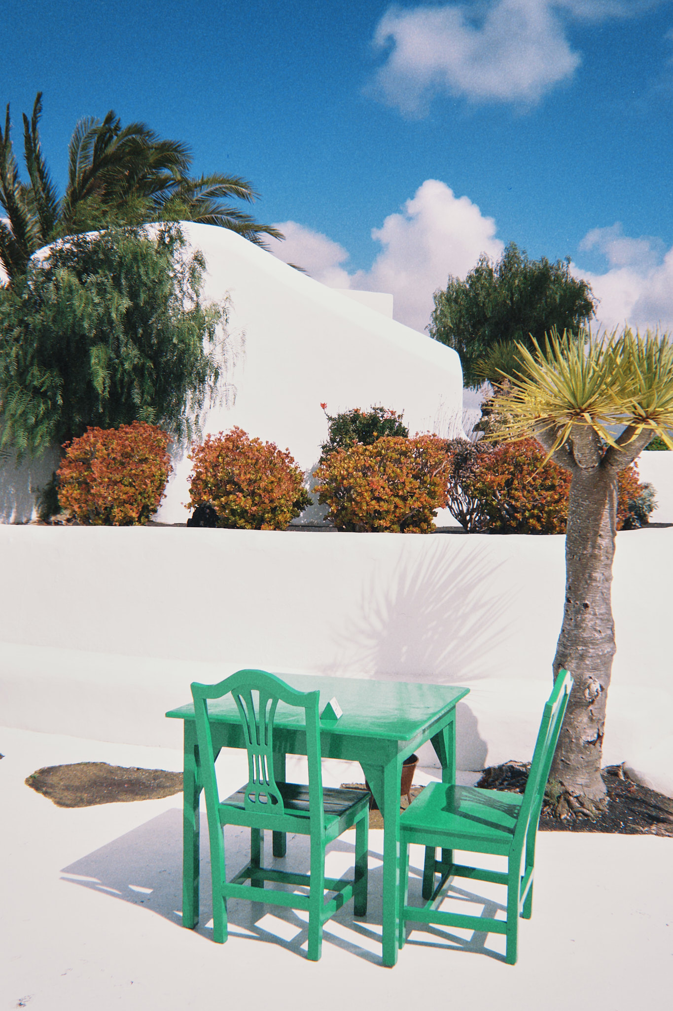 taylor foto film33 (fqs 2025 03 24 152333.057)