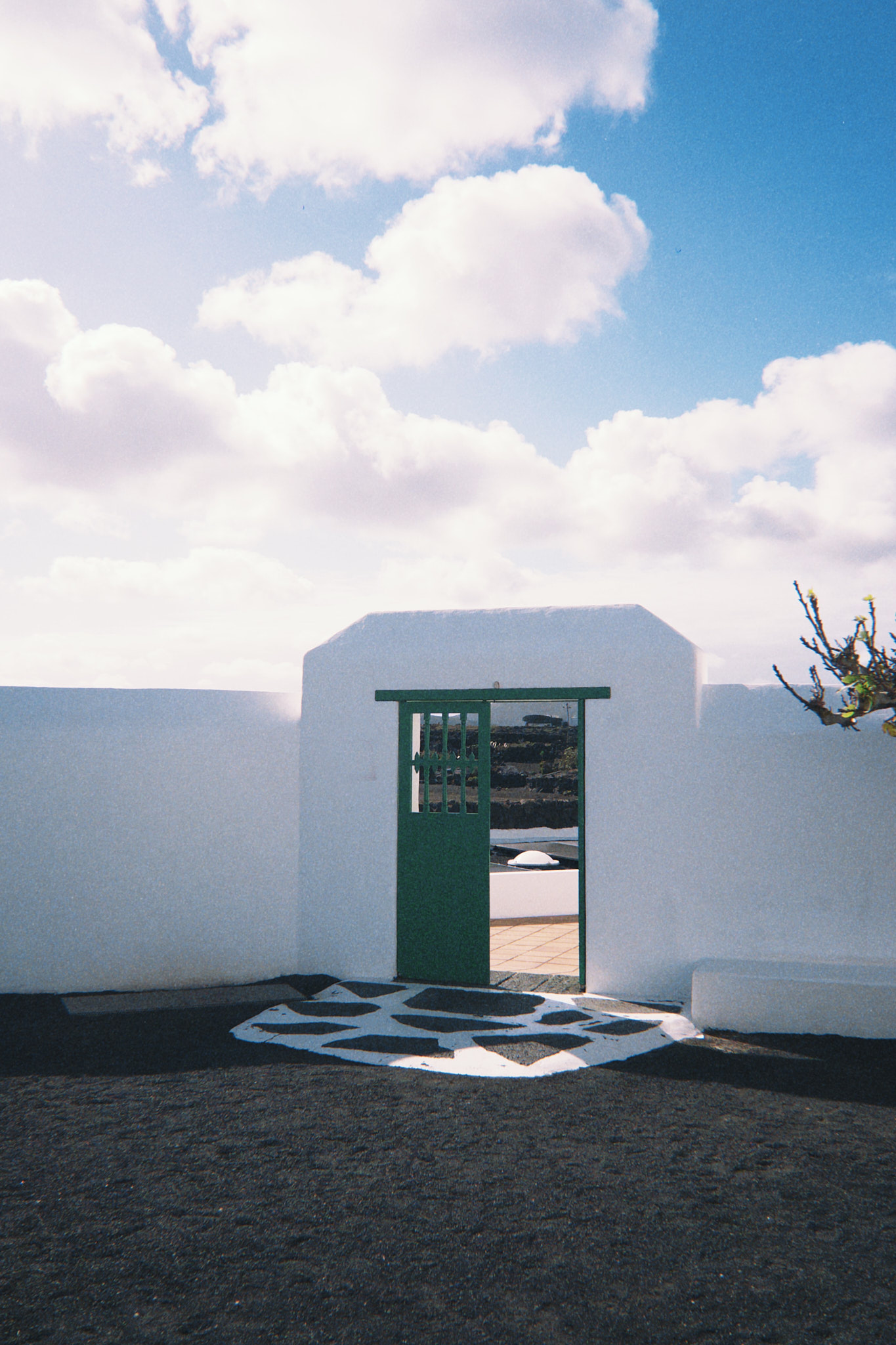 taylor foto film34 (fqs 2025 03 24 161819.373)