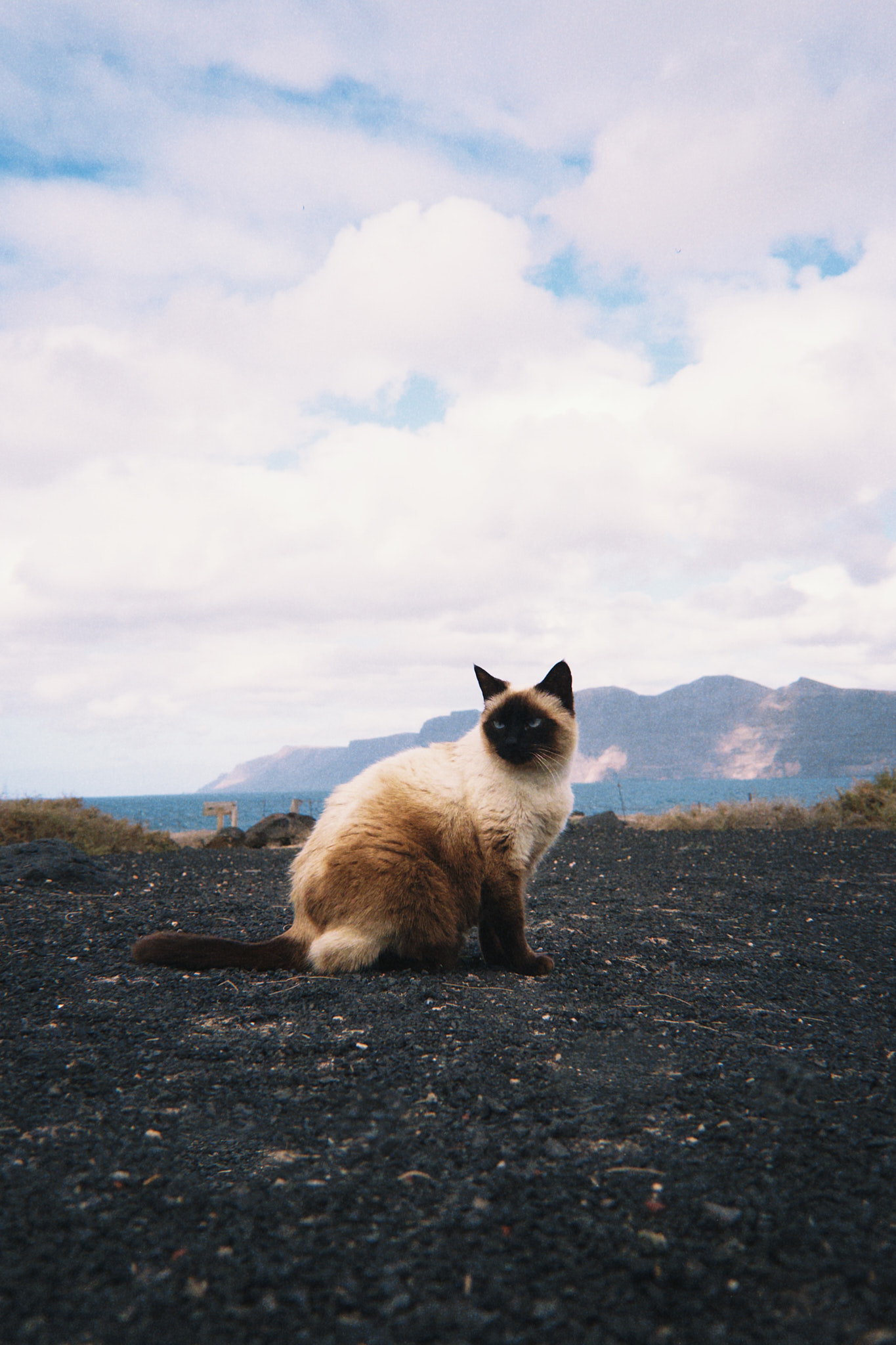 taylor foto film38 (fqs 2025 03 25 163642.018)