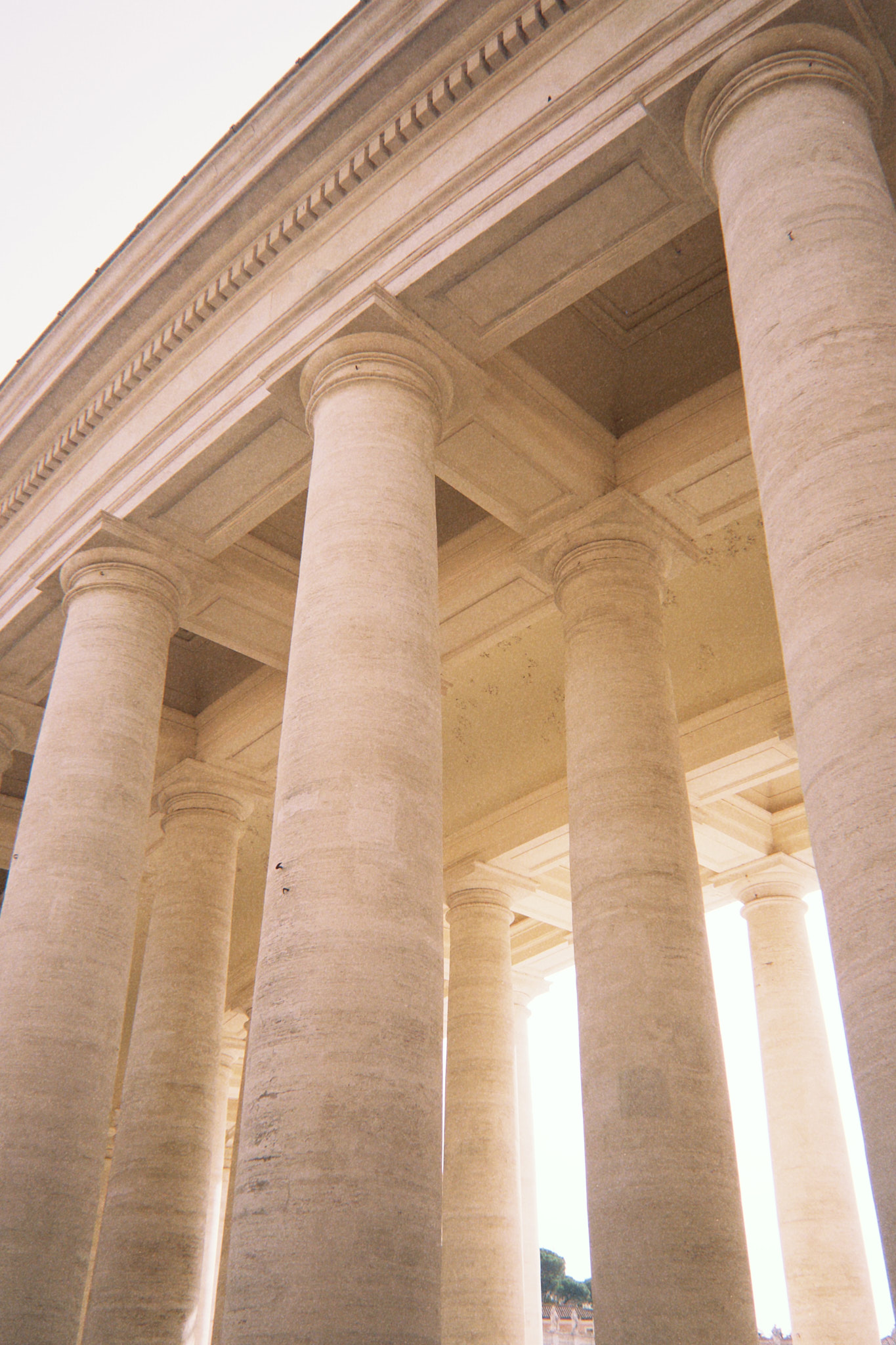 taylor foto film4 (fqs 2024 10 15 141417.168)