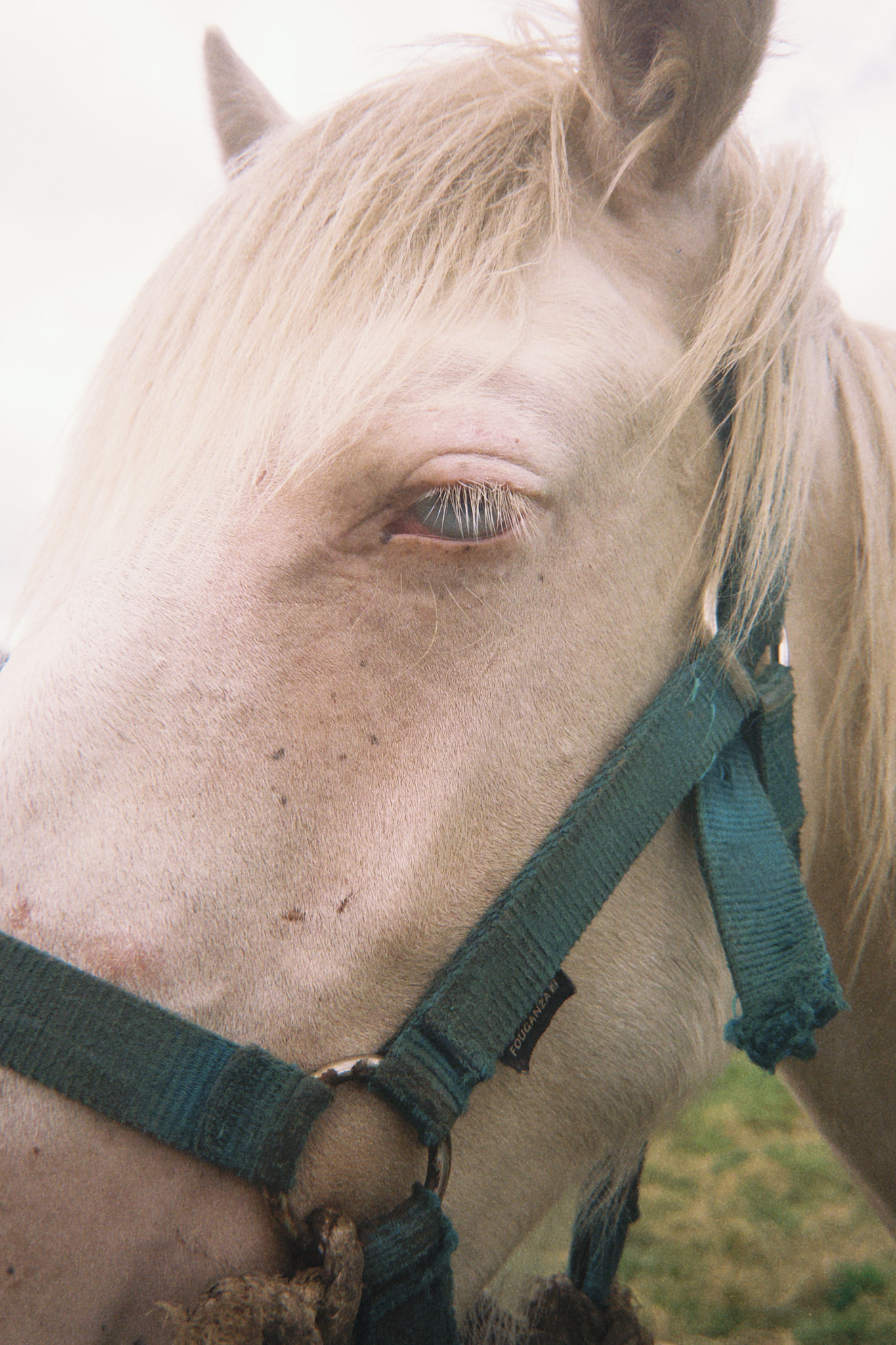 taylor foto film46 (fqs 2025 07 27 132905.561)