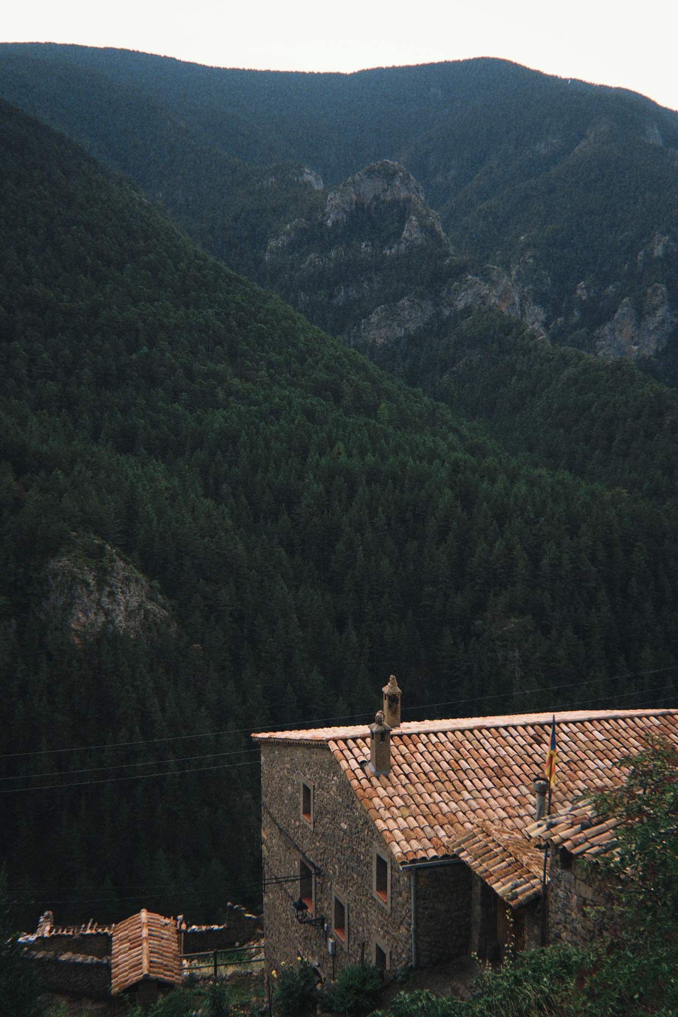 taylor foto film49 (fqs 2025 08 19 183815.637)