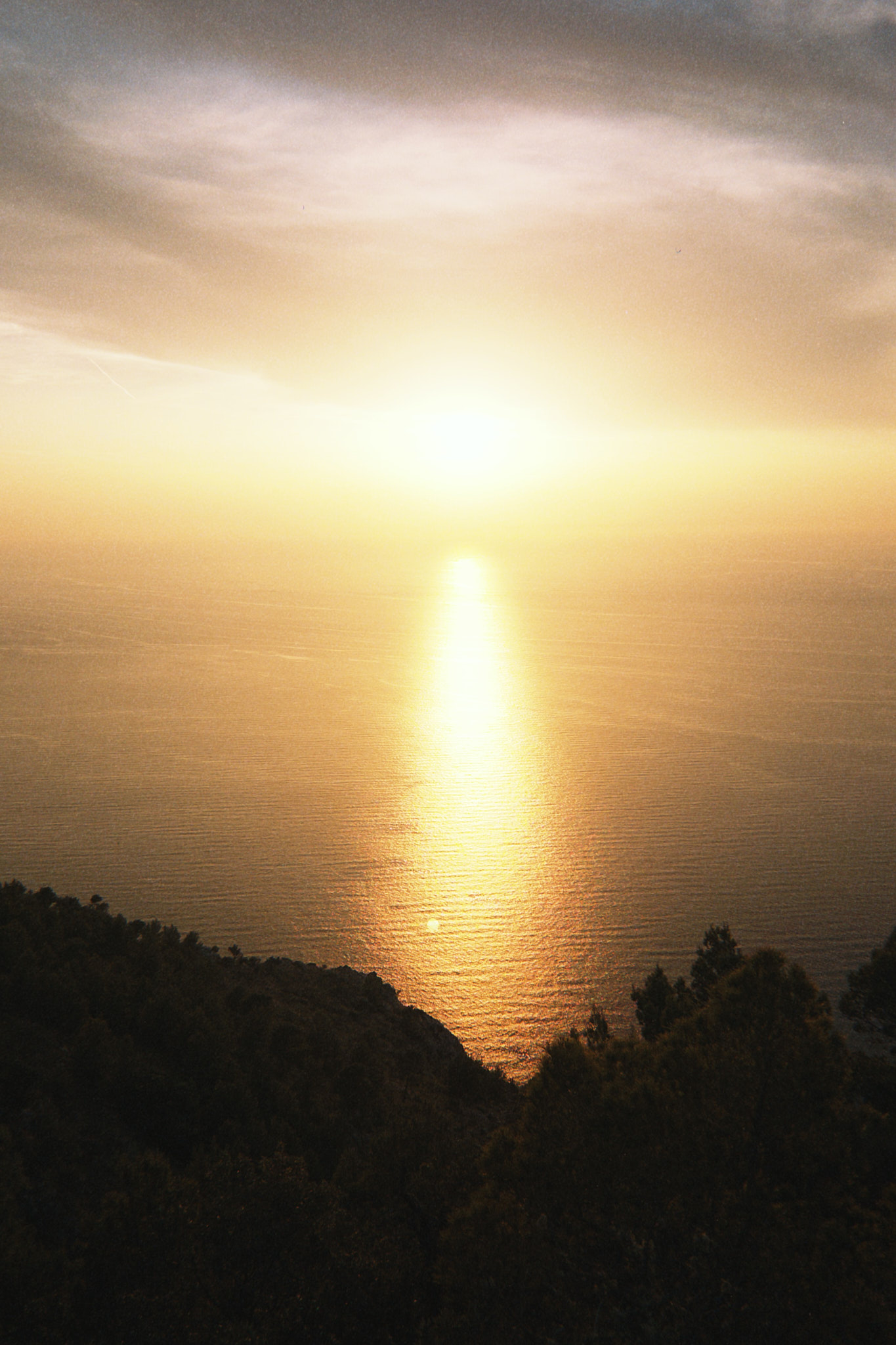 taylor foto film50 (fqs 2025 08 24 200953.866)