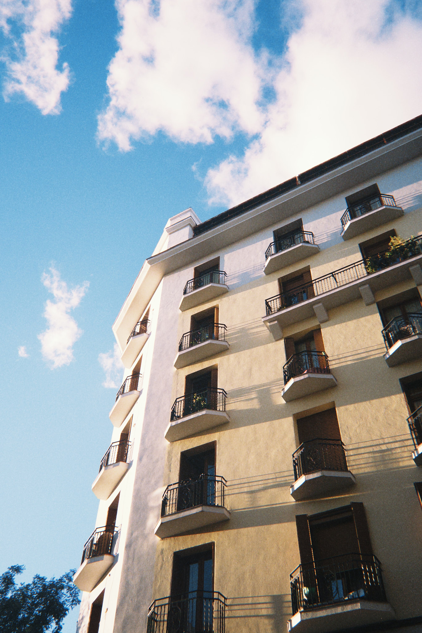 taylor foto film53 (fqs 2025 09 10 194624.701)