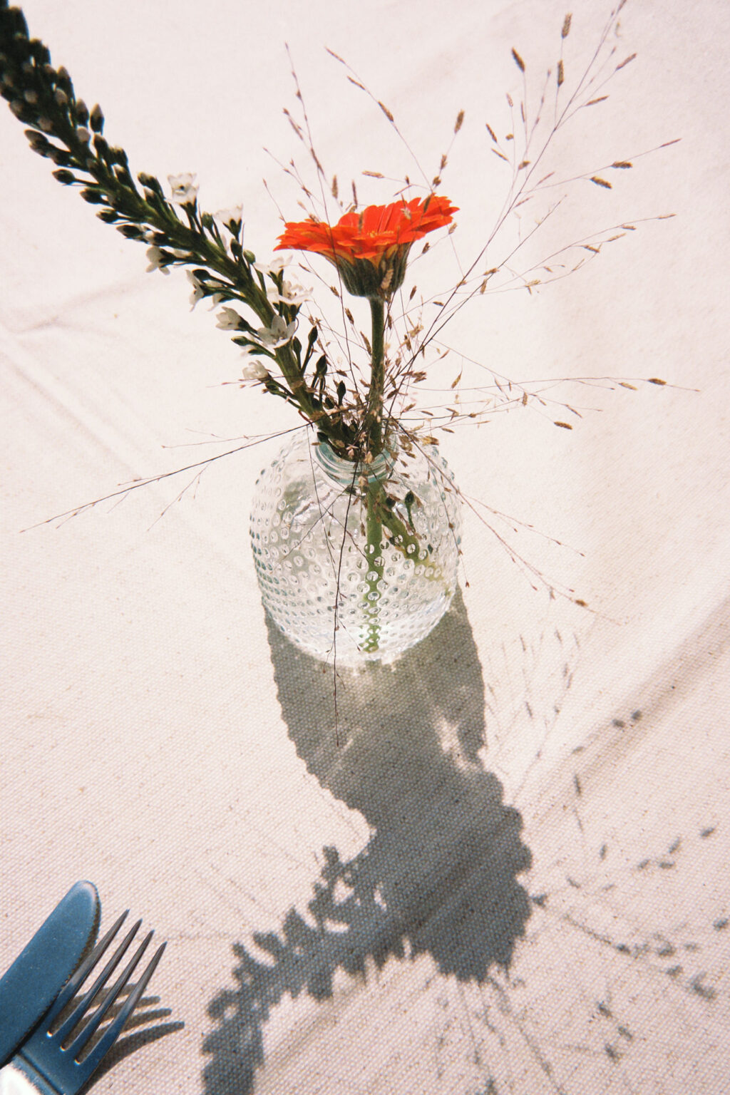 taylor foto film56 (fqs 2025 10 02 144653.816)