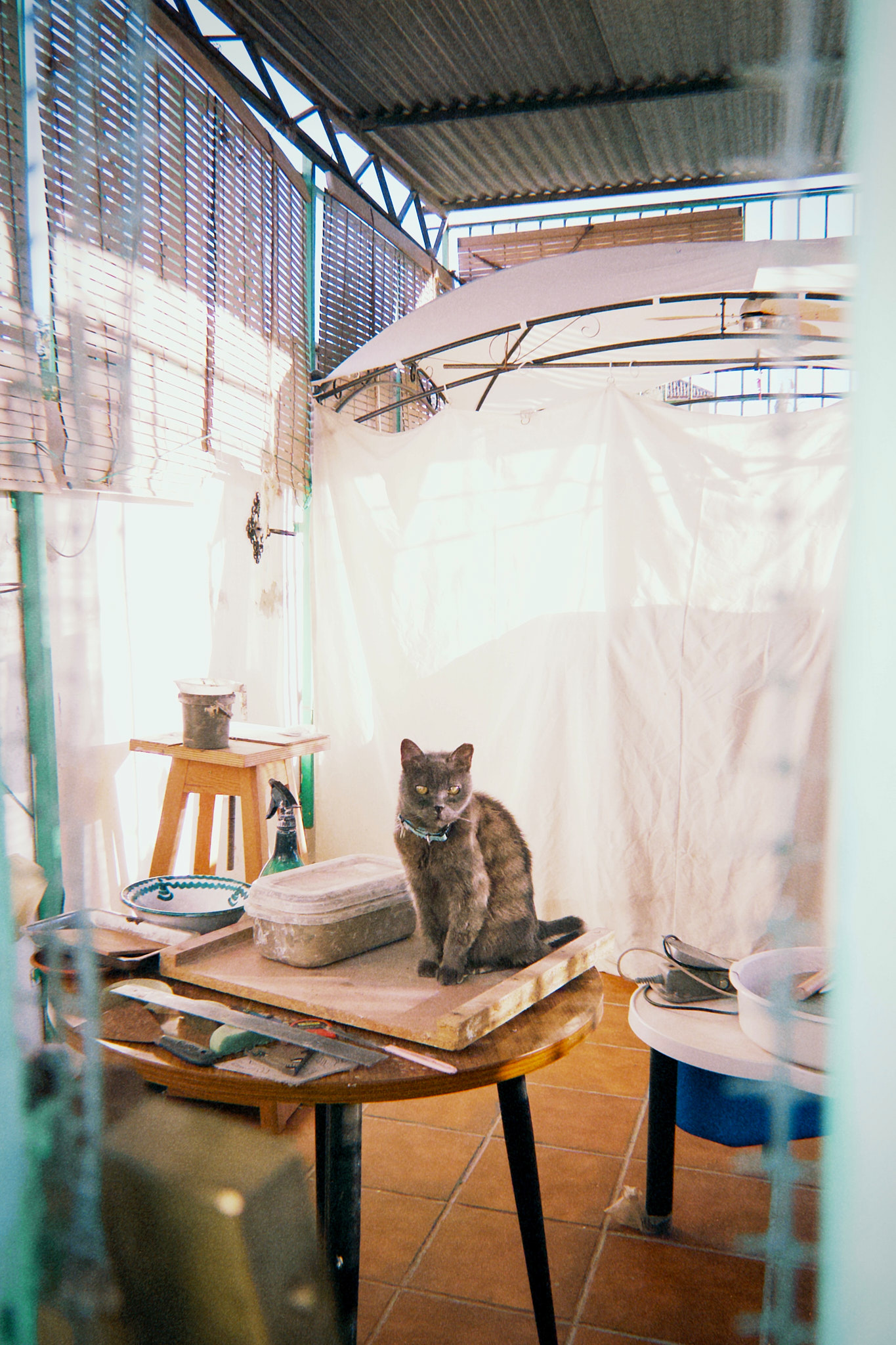 taylor foto film57 (fqs 2025 10 23 182758.548)